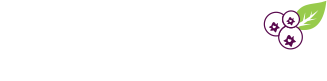 aronia logo on footer